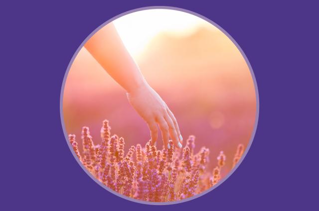 Giving in memory banner